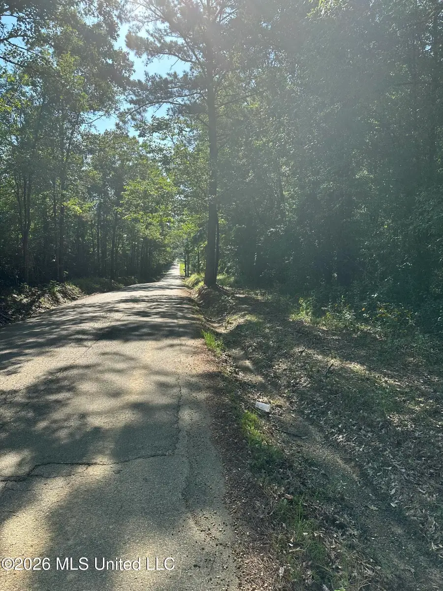 J C Prestage Road, Pelahatchie, MS 39145 - #2