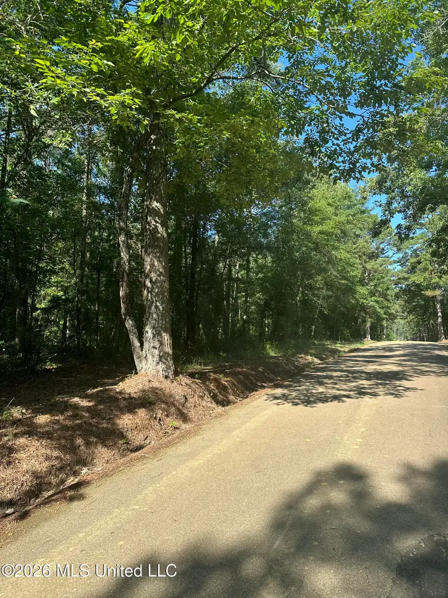 J C Prestage Road, Pelahatchie, MS 39145 - #3
