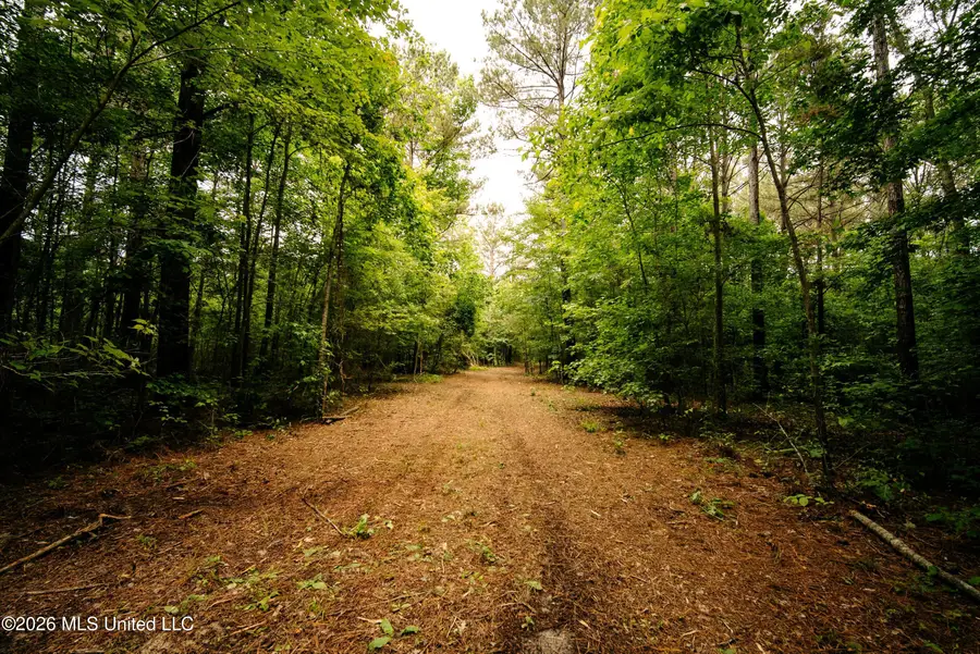 Reservation Road, Philadelphia, MS 39350 - #2