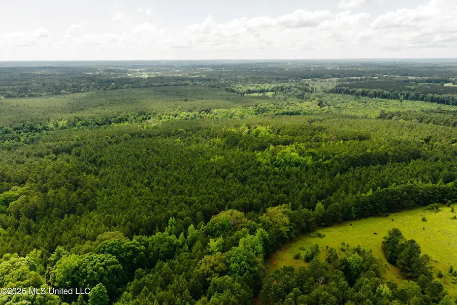 Reservation Road, Philadelphia, MS 39350 - #3