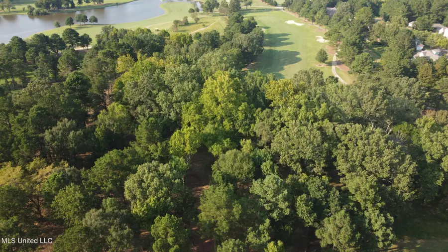Annandale Drive, Madison, MS 39110 - #3
