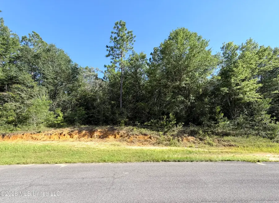 Robin Street, Vancleave, MS 39565 - #2