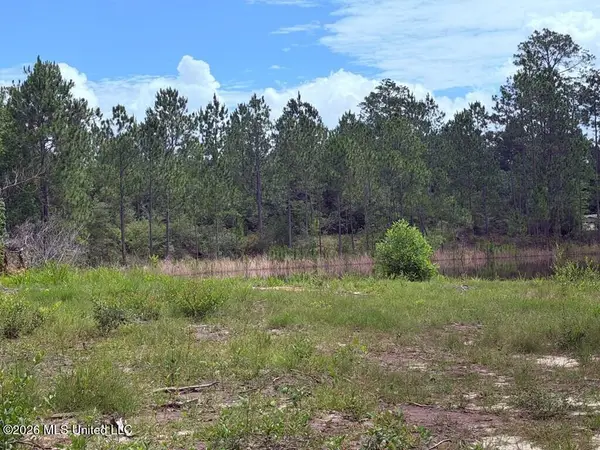 E Lake Cypress Drive, Perkinston, MS 39573