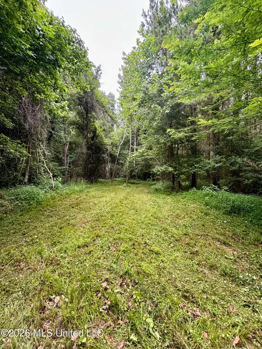 8119 Dry Grove Road, Raymond, MS 39154 - #2