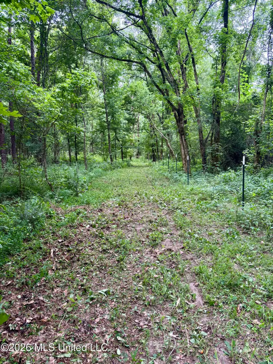 8119 Dry Grove Road, Raymond, MS 39154 - #3