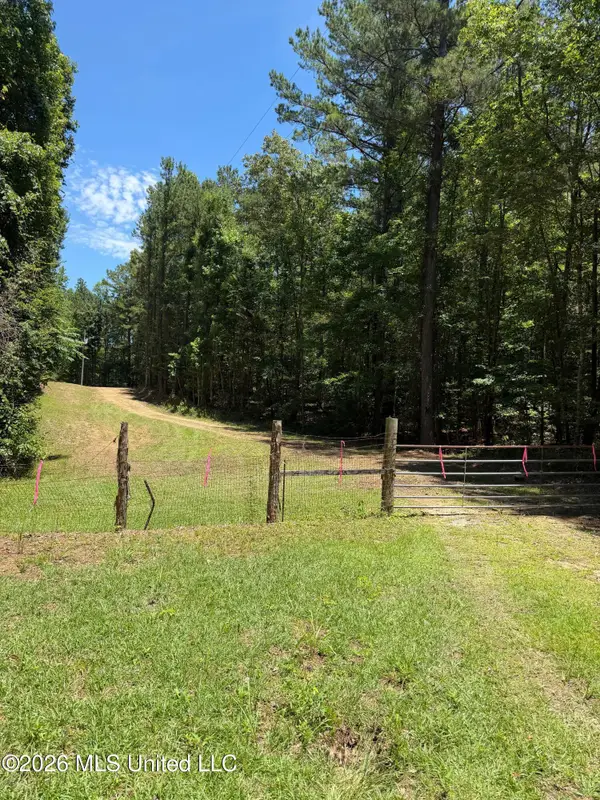 Walker Road, Newton, MS 39345