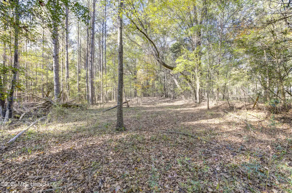 Brenmar Street, Brandon, MS 39042 - #1