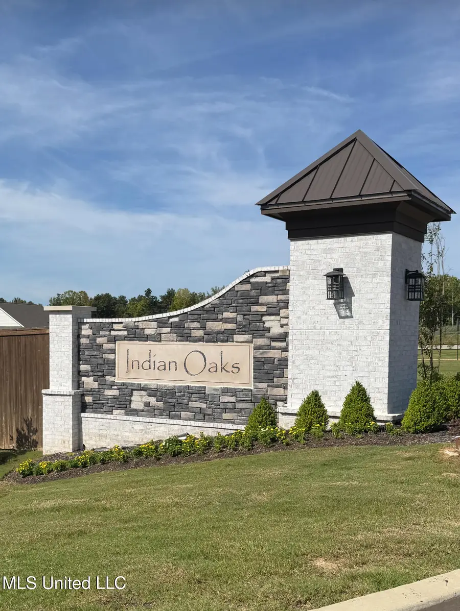 20 Spirit Dance Drive, Byhalia, MS 38611 - #3
