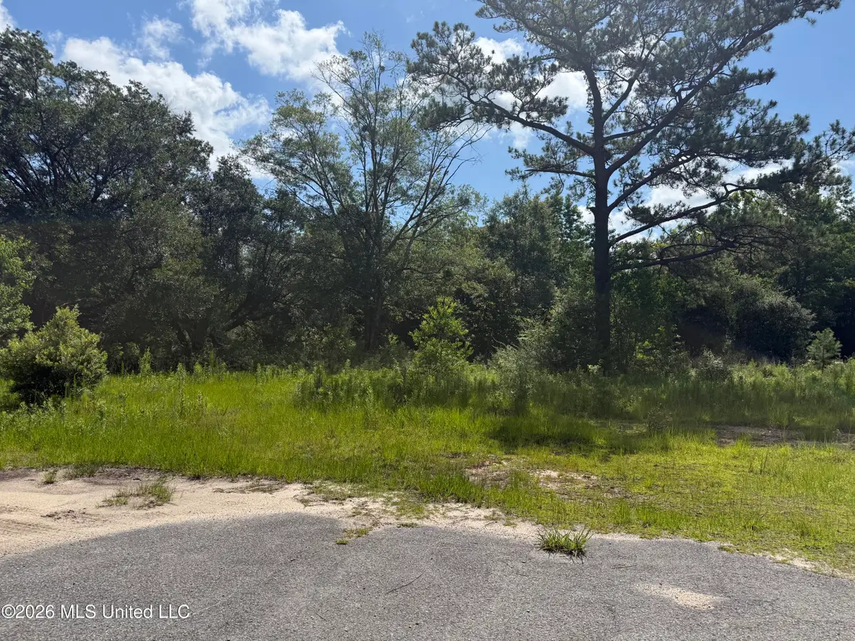 22280 Success Road, Saucier, MS 39574 - #1