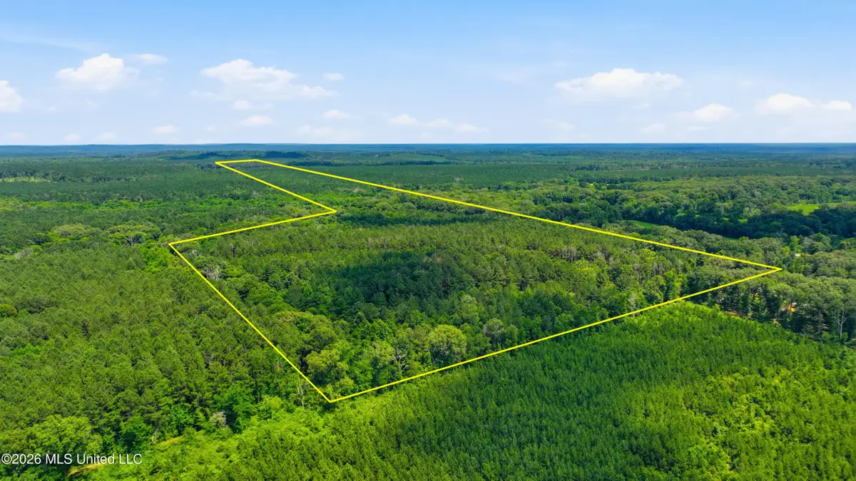 Blackwell Drive, Forest, MS 39074 - #1
