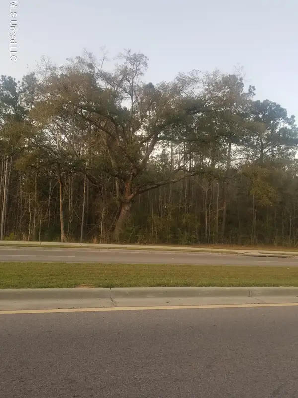 Daisy Vestry Road, Biloxi, MS 39532