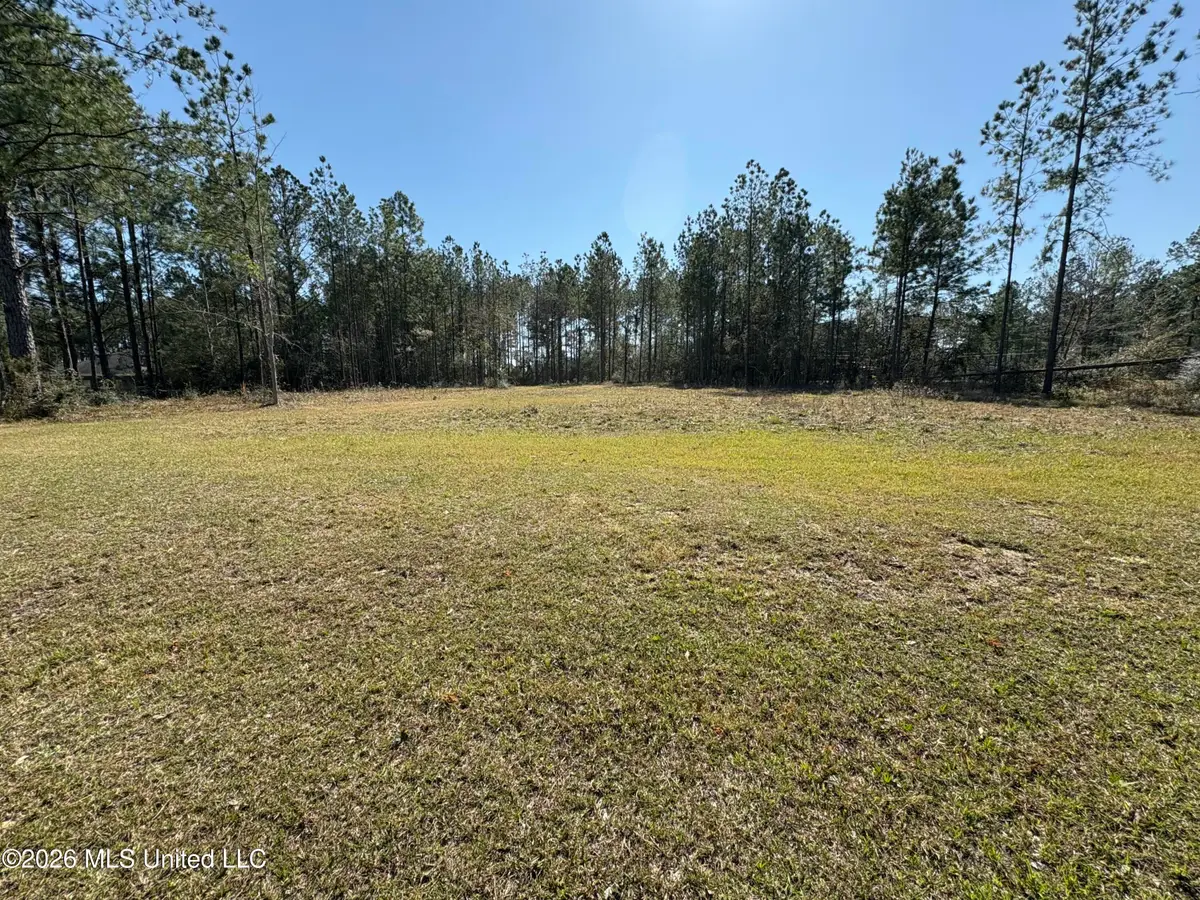 Lot 13 Tobee Road, Saucier, MS 39574 - #1
