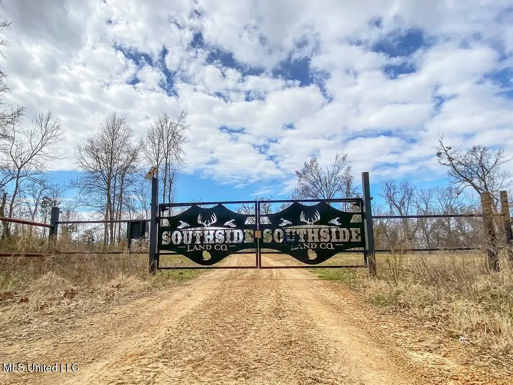 1 Noble Swamp Road, Lorman, MS 39096 - #1