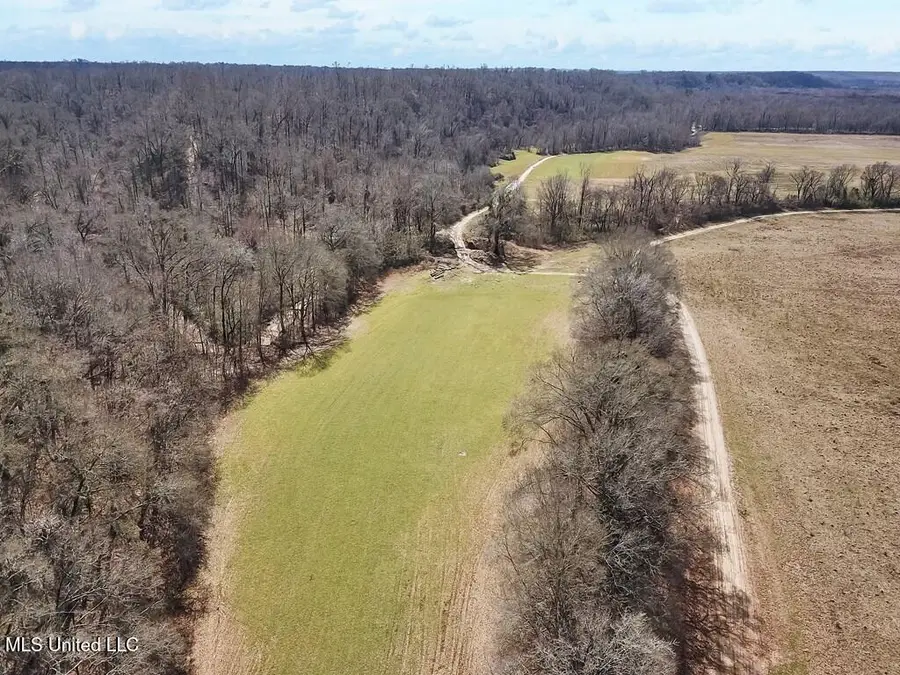 1 Noble Swamp Road, Lorman, MS 39096 - #3