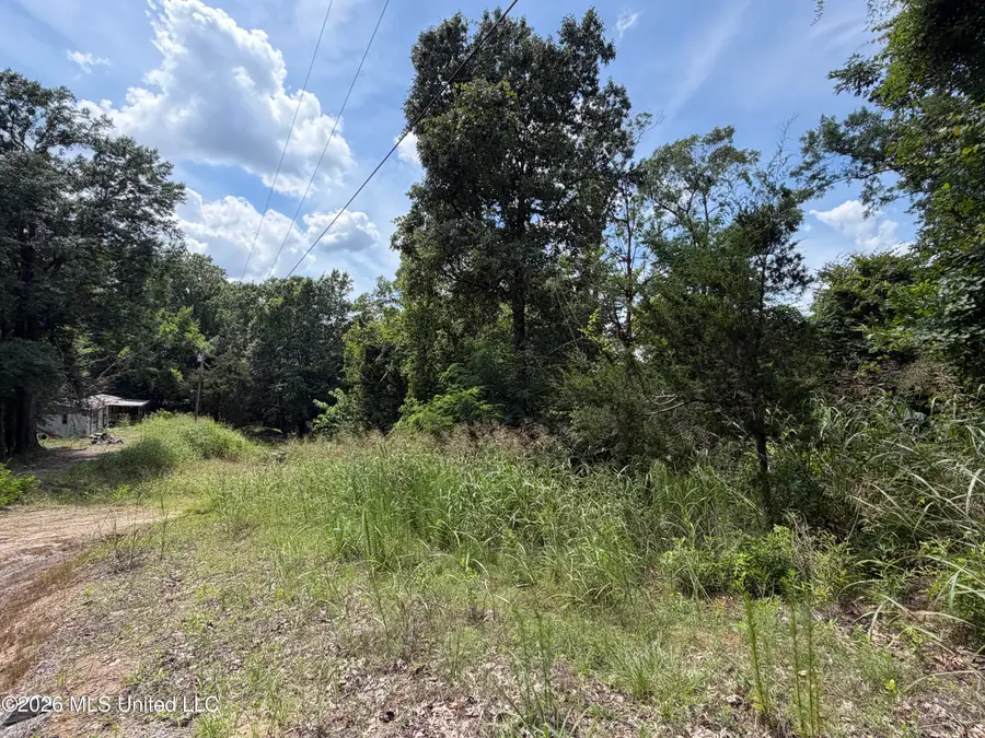 301b N Fairview Drive, Vicksburg, MS 39180 - #2