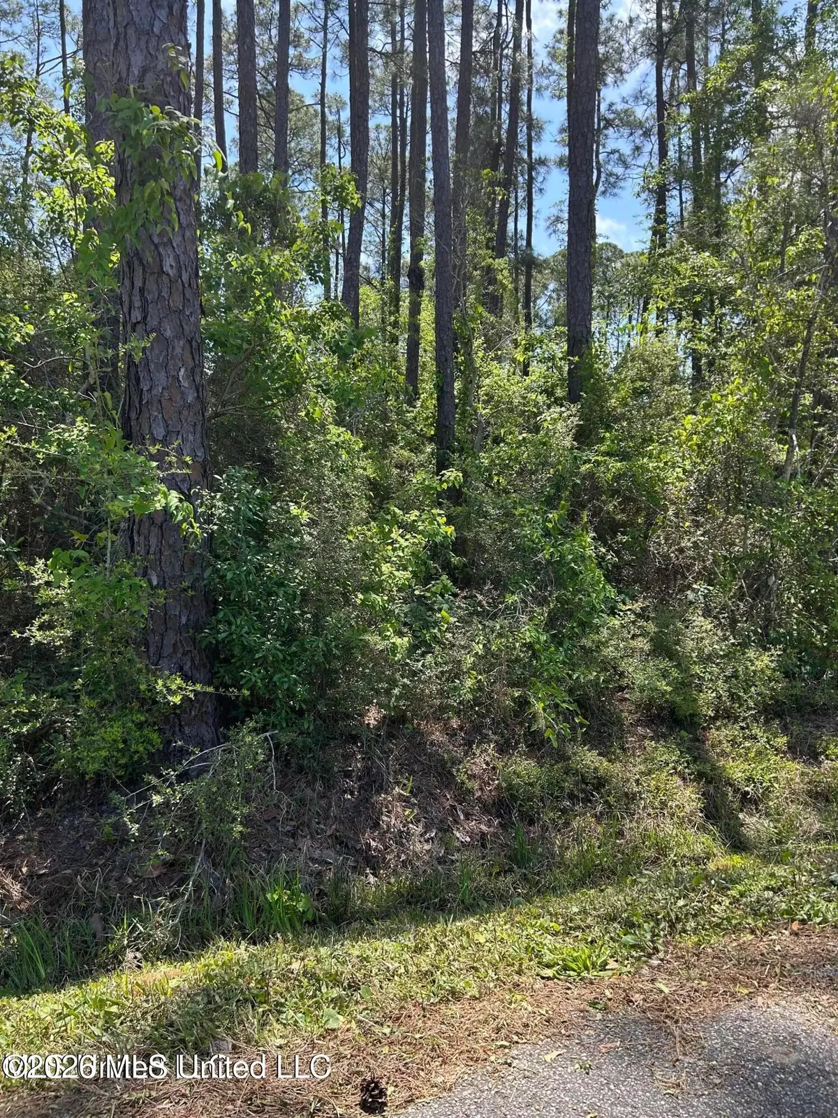 Parkview Lane, Pass Christian, MS 39571 - #1