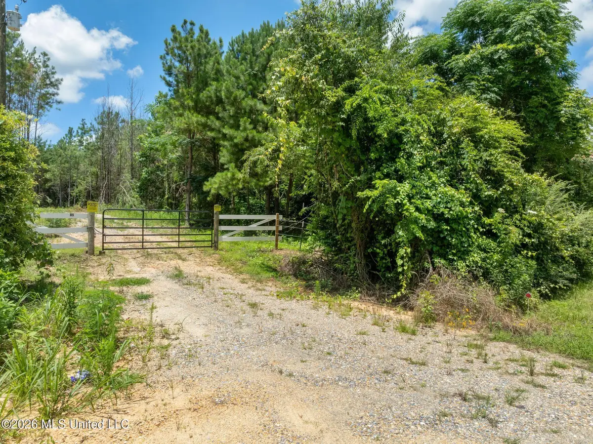 31 Acres Ridgeland Road, Bassfield, MS 39421 - #1