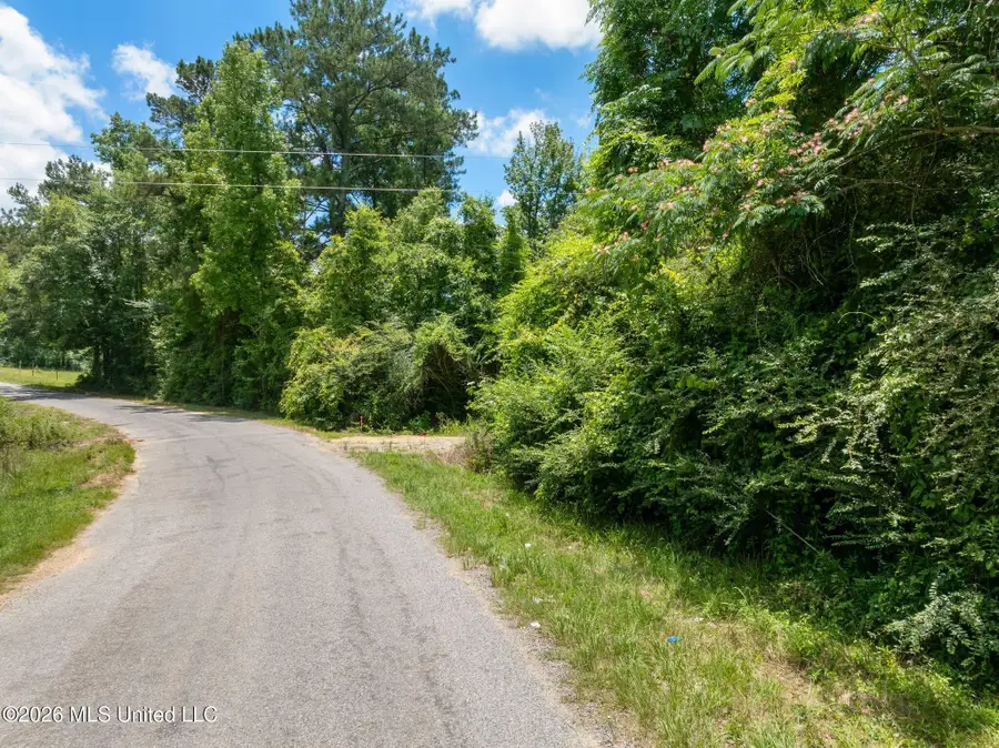 31 Acres Ridgeland Road, Bassfield, MS 39421 - #2