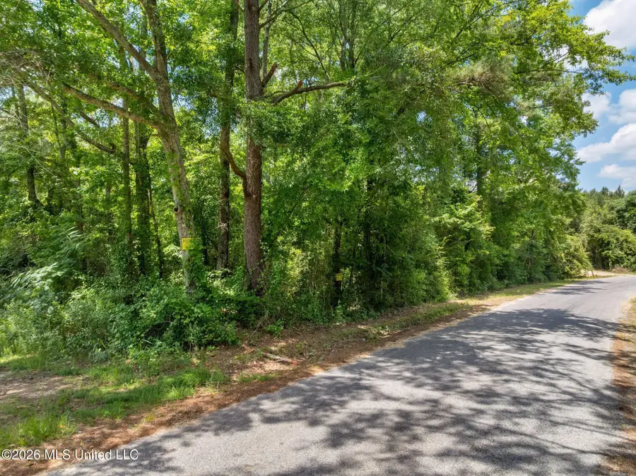 31 Acres Ridgeland Road, Bassfield, MS 39421 - #3