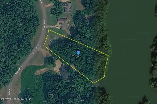 410 Blue Lake Drive, Lake Cormorant, MS 38641