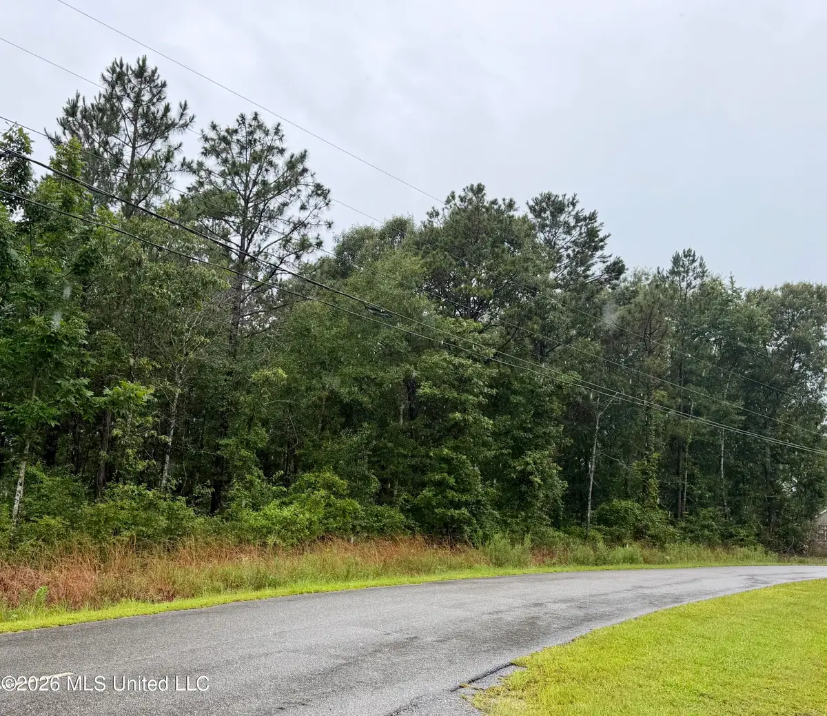 S Highlands Drive, Poplarville, MS 39470 - #1