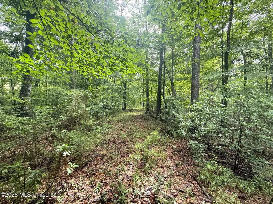 3042 Brandi Road, Summit, MS 39666 - #2