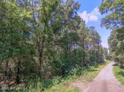 Nhn NW Neil Lambert Road, Jayess, MS 39641 - #1