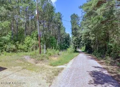 Nhn NW Neil Lambert Road, Jayess, MS 39641 - #2