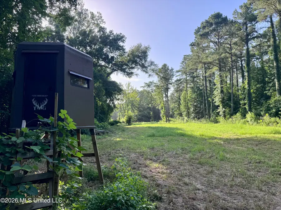 Ms-553, Fayette, MS 39069 - #3