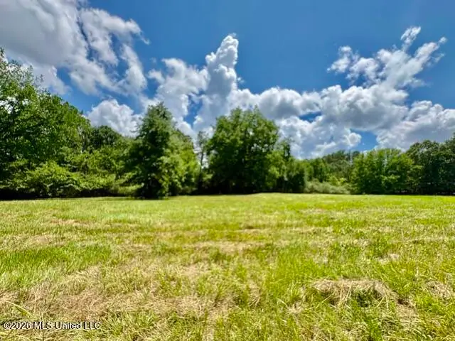703 Burton Road, Senatobia, MS 38668 - #1