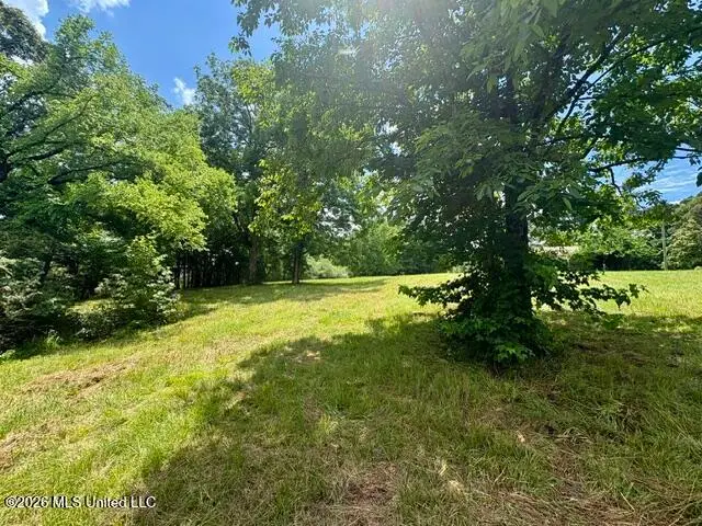 703 Burton Road, Senatobia, MS 38668 - #2