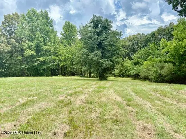 703 Burton Road, Senatobia, MS 38668 - #3