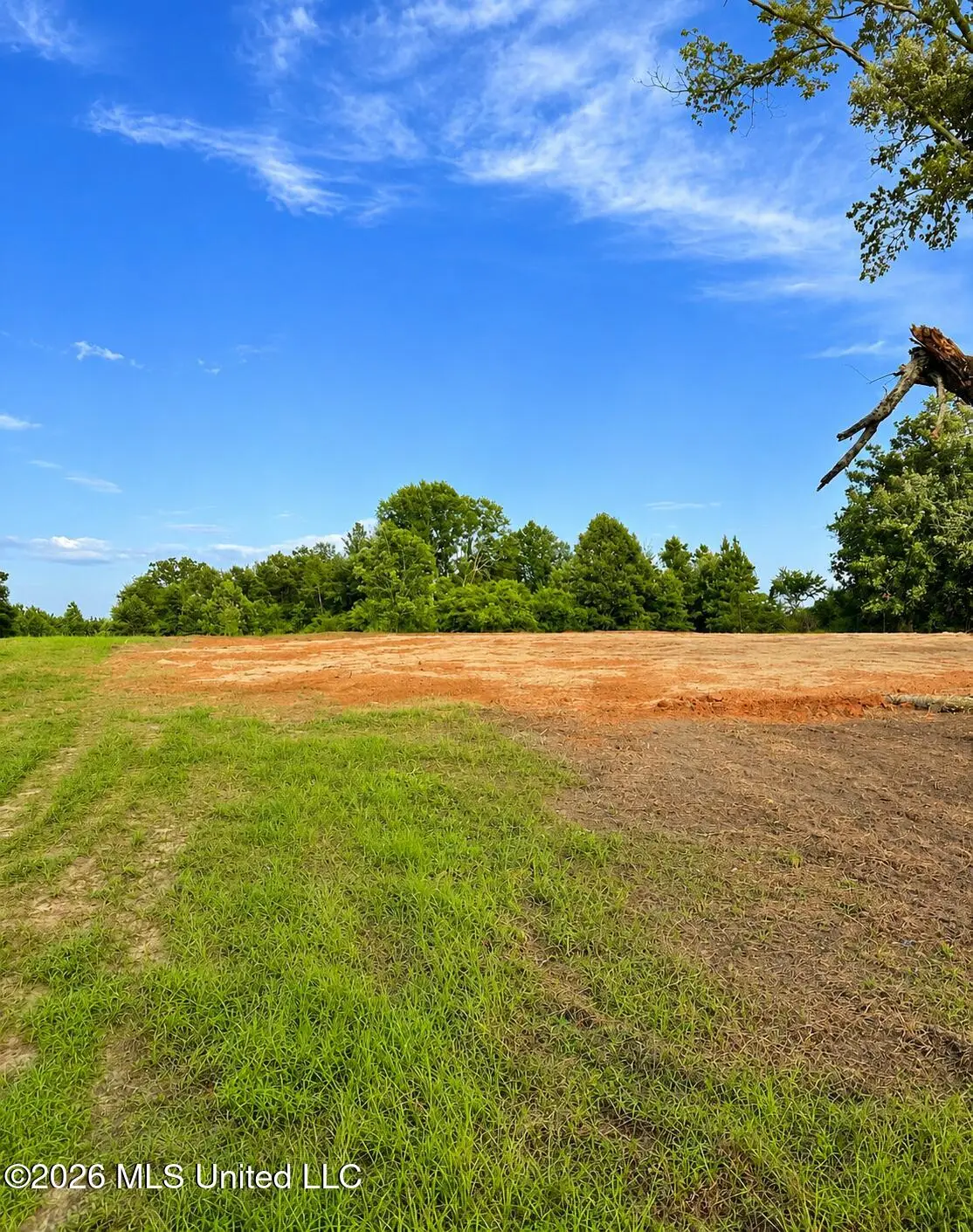8847 County Road 77, Mize, MS 39116 - #1
