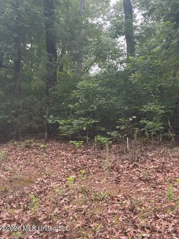 Shurden Owen Drive, Gore Springs, MS 38929