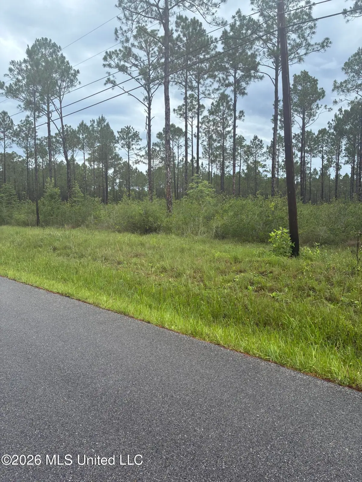 Lot 1 Presley Road, Moss Point, MS 39562 - #1