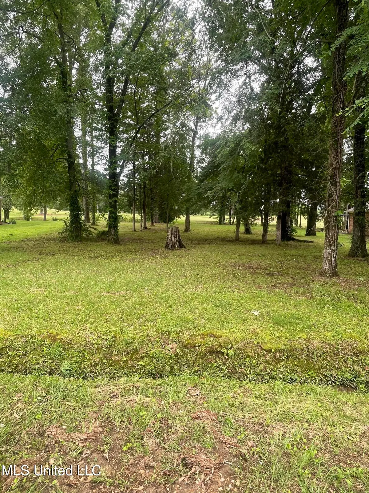 803 Oak Trail, Canton, MS 39046 - #1
