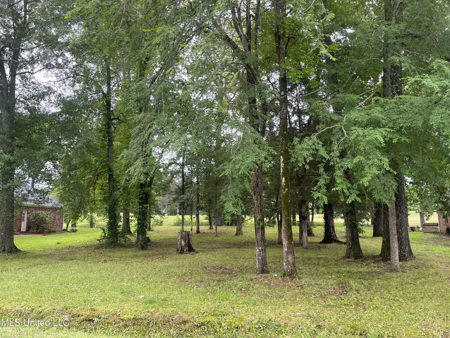 803 Oak Trail, Canton, MS 39046 - #3