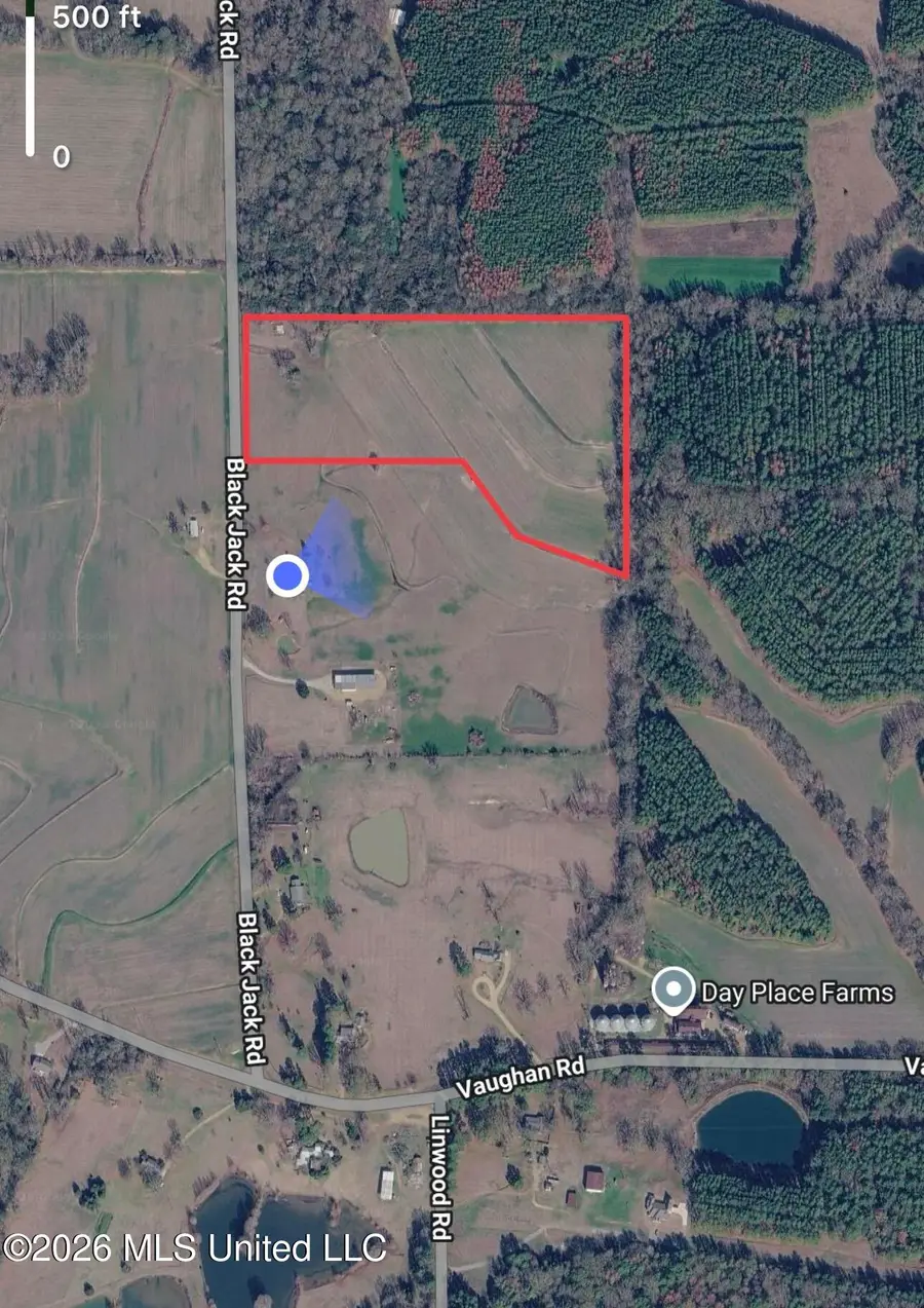 340 Black Jack Road, Vaughan, MS 39179 - #3