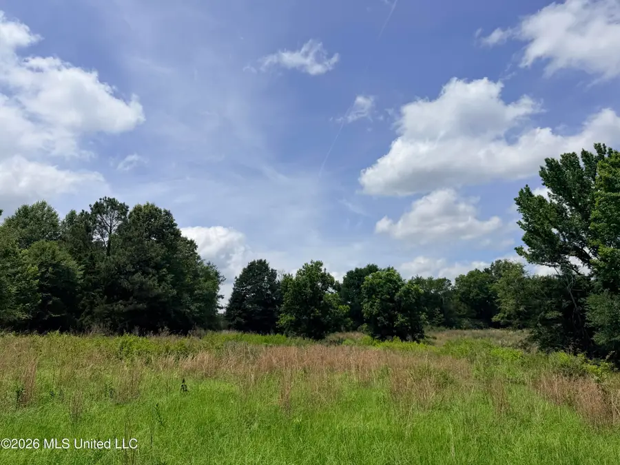 Lot #11 Wildwood At Pinehaven Drive, Jackson, MS 39209 - #3