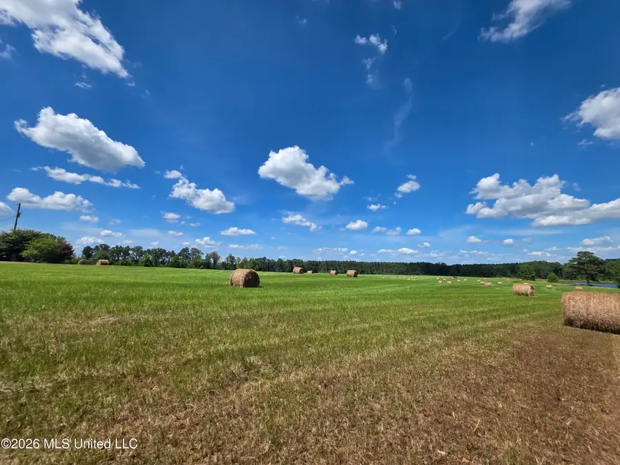 244 Foster Road, Sontag, MS 39665 - #3