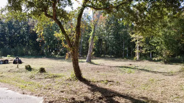 Loraine Street, Ocean Springs, MS 39564