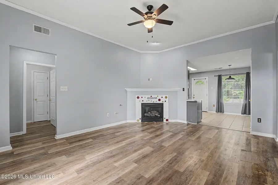 7201 Lucia Lane, Walls, MS 38680 - #3