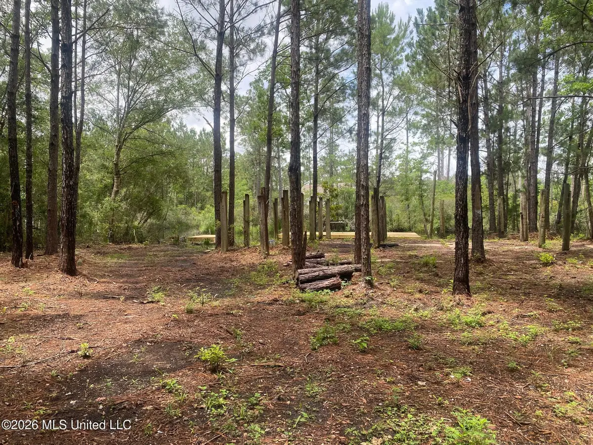 10063 River Drive, Bay Saint Louis, MS 39520 - #1