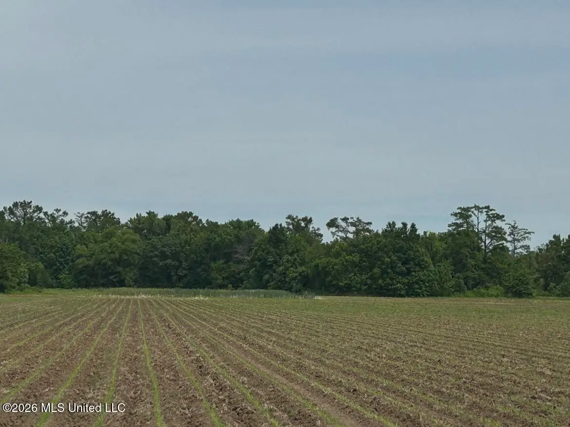 Browning Road, Greenwood, MS 38930 - #1