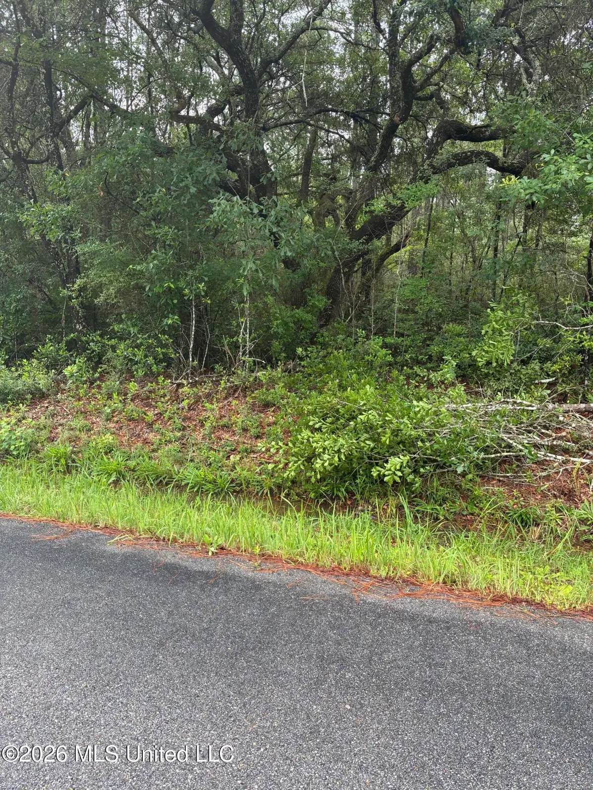 Lot 8 Presley Road, Moss Point, MS 39562 - #1