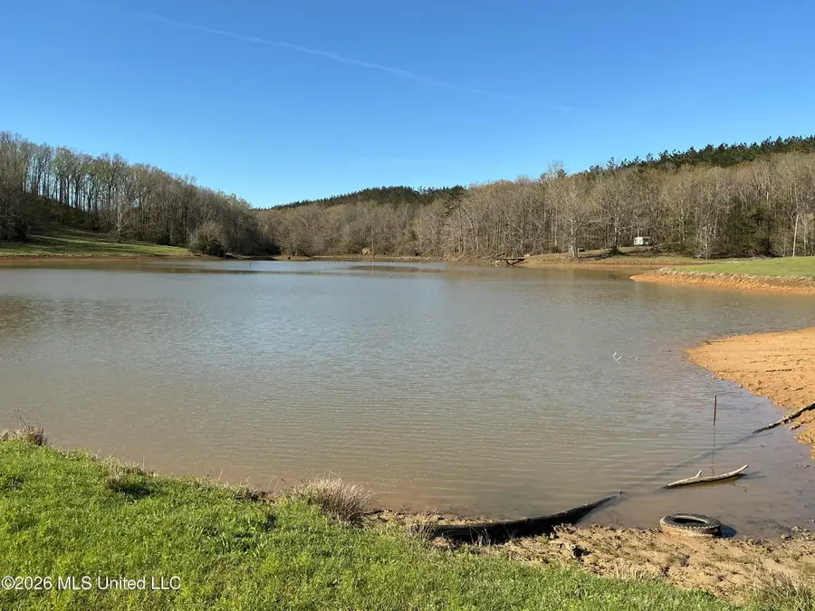 401 S Binford Avenue, Duck Hill, MS 38925 - #3