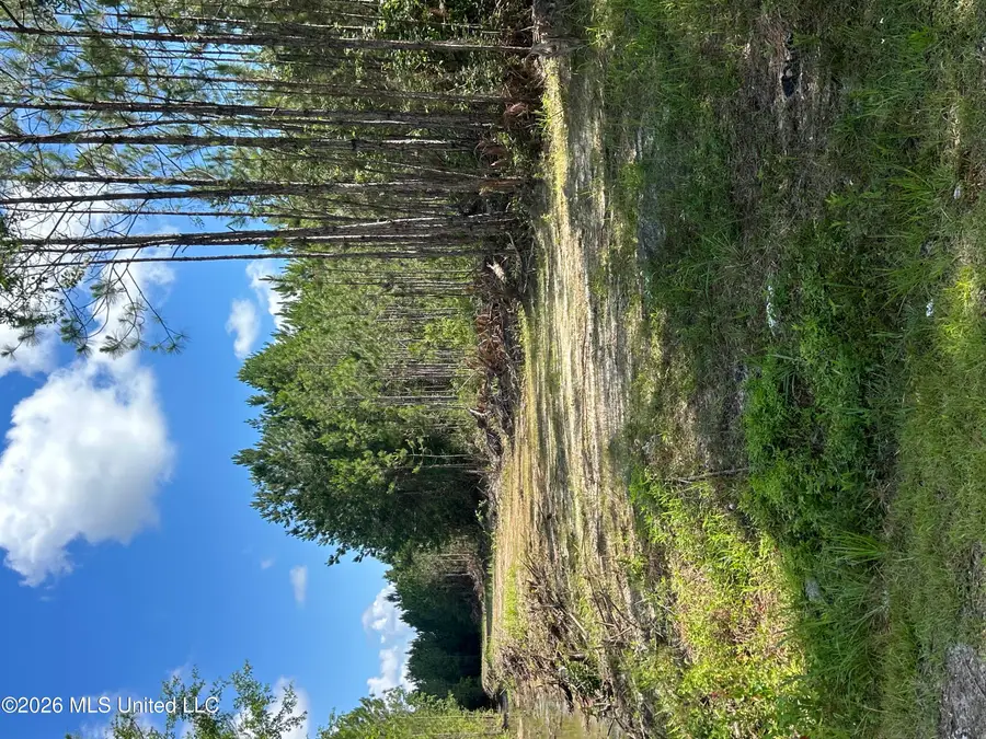 Heidelburg Drive, Gautier, MS 39553 - #3