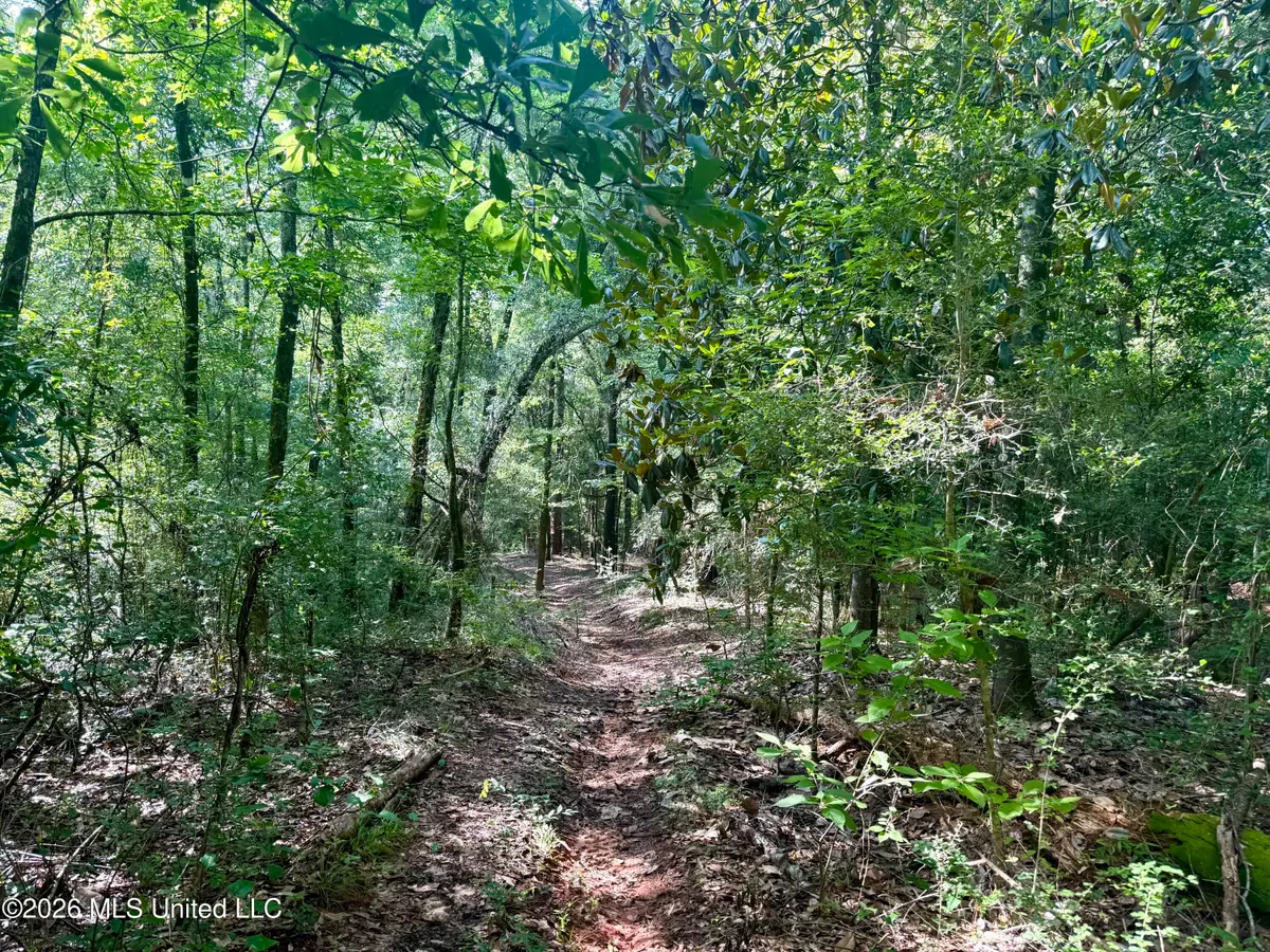 204 Mississippi 35, Raleigh, MS 39153 - #1