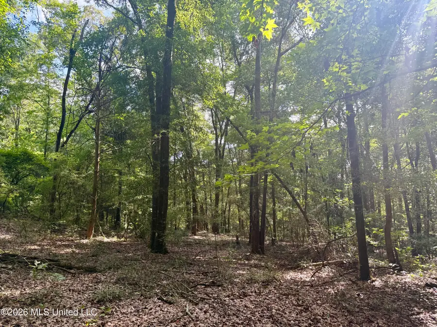 204 Mississippi 35, Raleigh, MS 39153 - #3