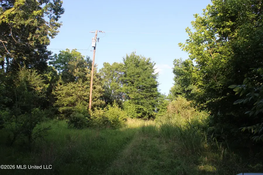 2000 Sparks Road, Lake Cormorant, MS 38641 - #3